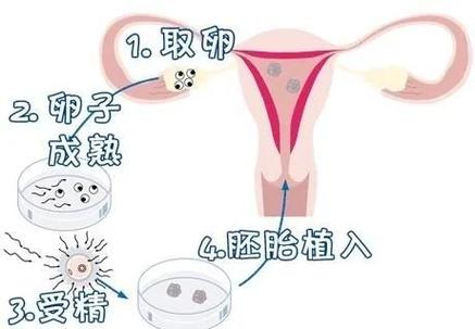 HIV阳性和正常人可以生孩子吗_HIV携带者可以生孩子吗_HIV阳性可以生孩子吗