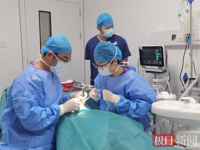 上海90岁老人种牙行不行 医生说了大实话