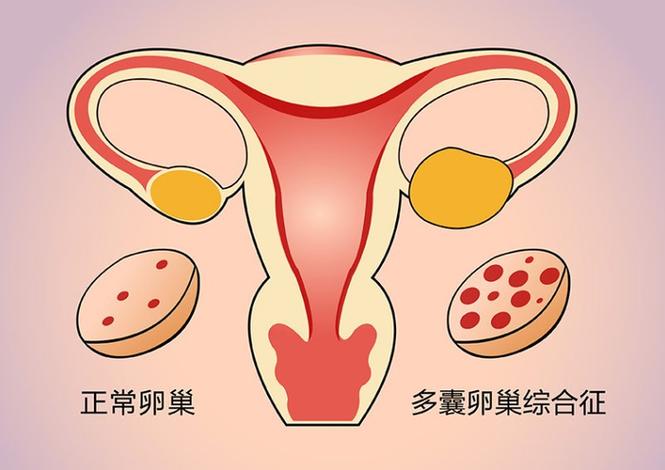 上海三代试管婴儿价格多少?搞懂费用构成就不容易被坑
