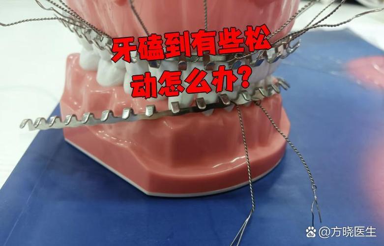 上海孩子牙齿磕碰松动了怎么办？多久能自己长好