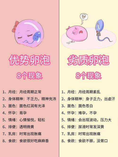 上海卵子质量不好怎么办 备孕提高卵子质量的三步法