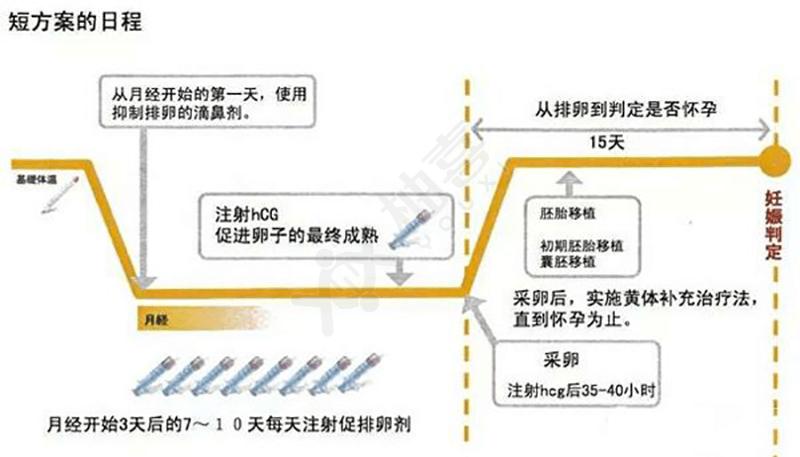 上海试管促排卵全流程 掌握这几点成功率更高