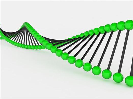 试管费用能否报销_三代试管的做费用是多少_试管费用可以报销吗