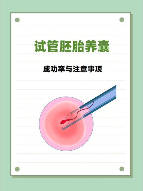 上海囊胚培养是什么?试管成功的关键一步