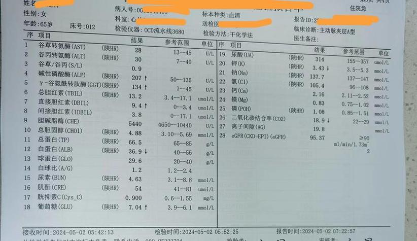 上海香港验血能查出女孩吗？准确率到底高不高