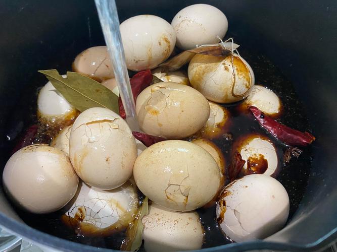 上海试管术前调理必看:时间、饮食、运动、检查全解答