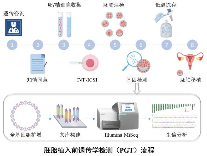上海三代试管筛查项目有哪些 能查什么病